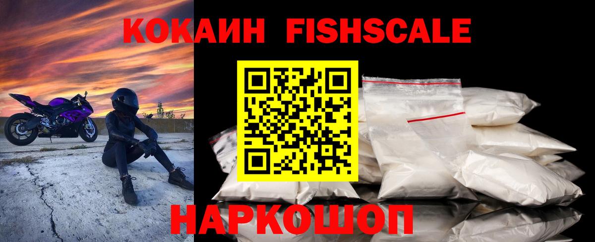COCAIN Fish Scale  Вход с VPN  COCAIN  Вязники 