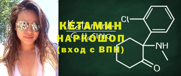 сатива Балахна