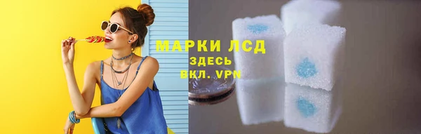 сатива Балахна
