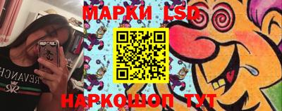 шишки Абакан