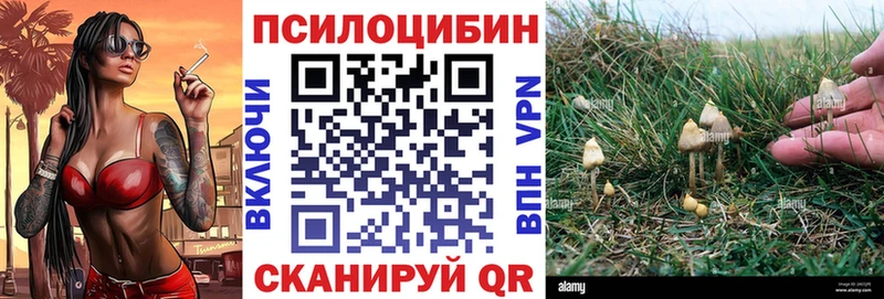 Галлюциногенные грибы мухоморы  магазин    Вязники 