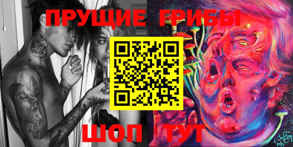 Псилоцибиновые грибы Psilocybine cubensis  Вязники  Галлюциногенные грибы Cubensis 