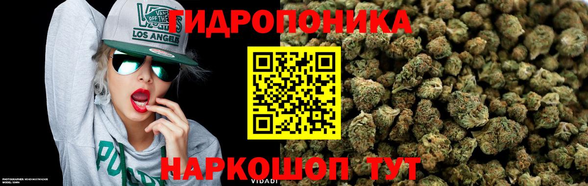 Бошки марихуана тримм Вязники